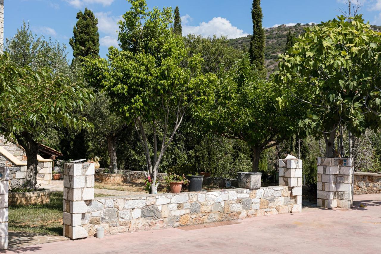 Chioureas Apartments Lévktron Dış mekan fotoğraf